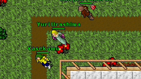Yuri Urashima on screen