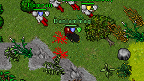 Daniam mag on screen