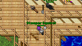 Stooper Squirel on screen