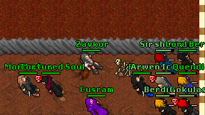 Zavkor on screen