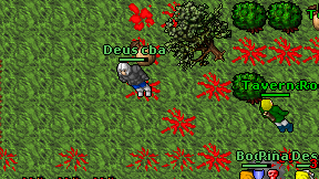 Deus cba on screen