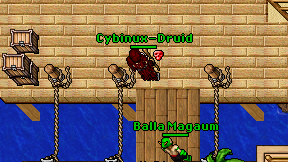 Cybinux-Druid on screen