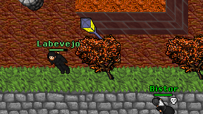 Labevejo on screen