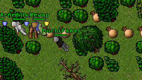 Muchi Pawel on screen