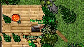Matya Guard on screen