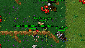 Tatheryx on screen