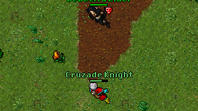 Cruzade Knight on screen