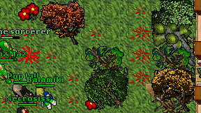 Furius Qubon on screen