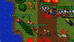 Nieogarniacz on screen