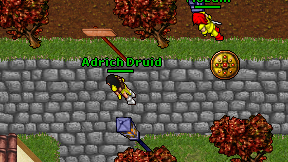 Adrich Druid on screen