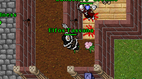 Elfos Tassana on screen