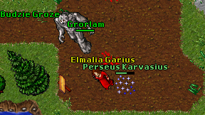 Elmalia Garius on screen