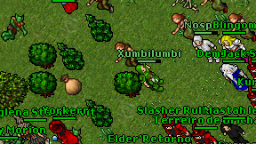 Xumbilumbi on screen