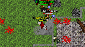 Corys bro on screen