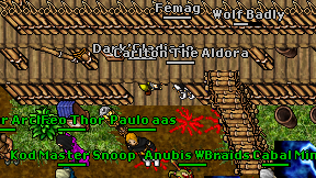 Femag on screen