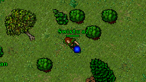 Swistu az on screen