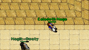 Caladoth Mage on screen