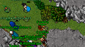 Fumfo on screen