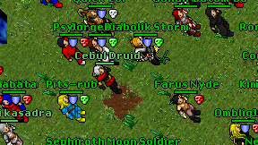 Cebul Druid on screen