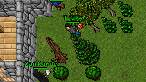 Tjaky on screen