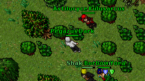 Pegazus Dark on screen