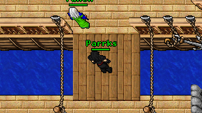 Parrks on screen