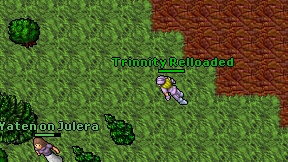 Trinnity Relloaded on screen