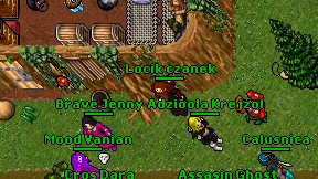 Locik czanek on screen