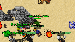 Ramonn-cam on screen
