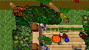 Evenix on screen