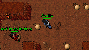 Jozliz on screen