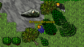 Bruno Brunox on screen