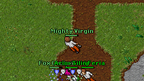 Mighty Virgin on screen