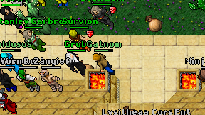 Gatnom on screen