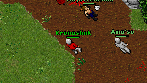 Kronoslink on screen