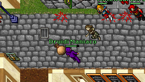 Druidi Maniaco on screen