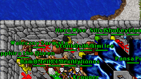 Hero Wise on screen