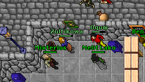Zulfikowa on screen