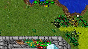 Browzinho on screen