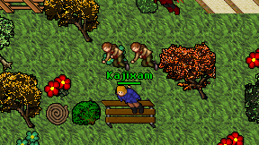 Kajixam on screen