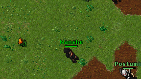 Nanshe on screen