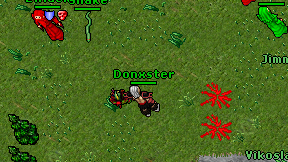 Donxster on screen