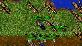 Lady Caeli on screen