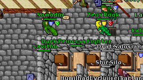 Dark Princess Fighter on screen