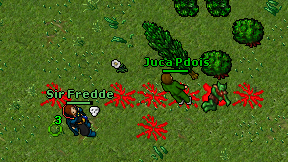 Juca Pdois on screen