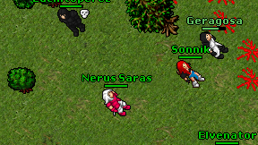 Nerus Saras on screen