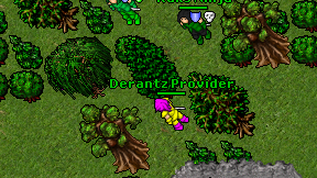 Derantz Provider on screen