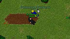 Pabloq on screen