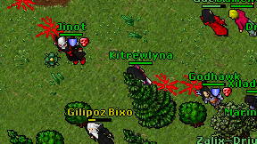 Kitrewlyna on screen