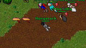 Hungarock on screen